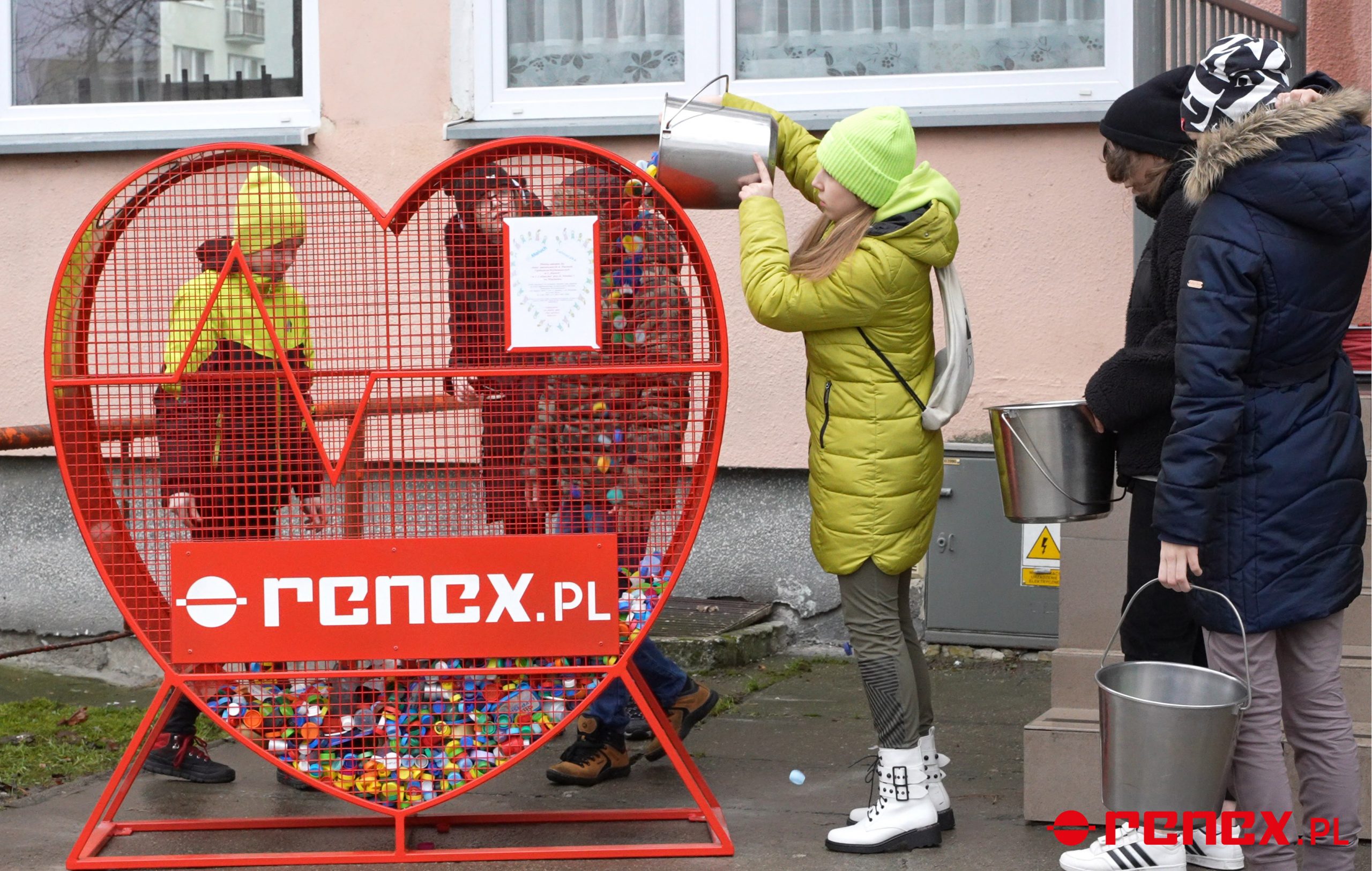 renex-serce-5