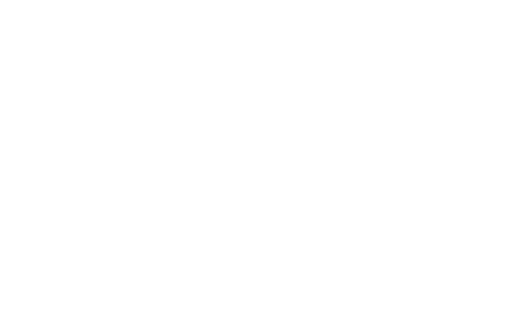logo 35 30 Lat RENEX